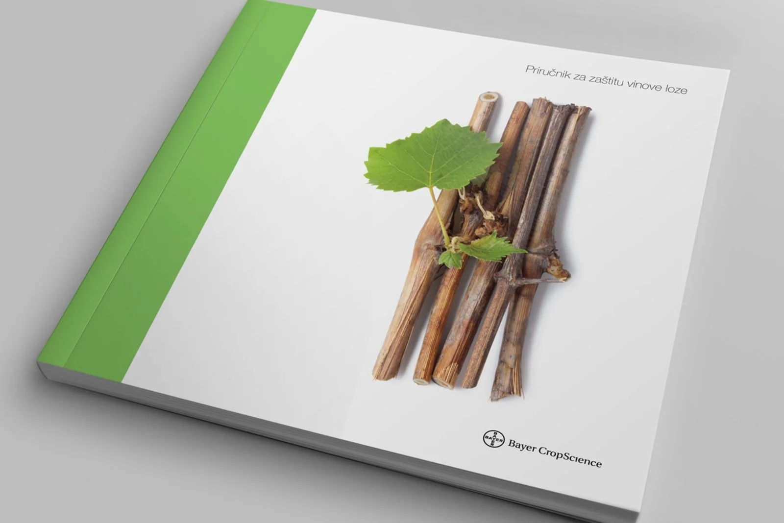 Grafički dizajn - vizualni materijali za tisak i digitalne medije