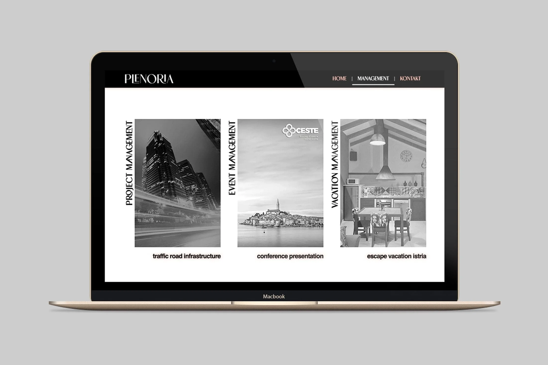 Plenoria - web stranica 2