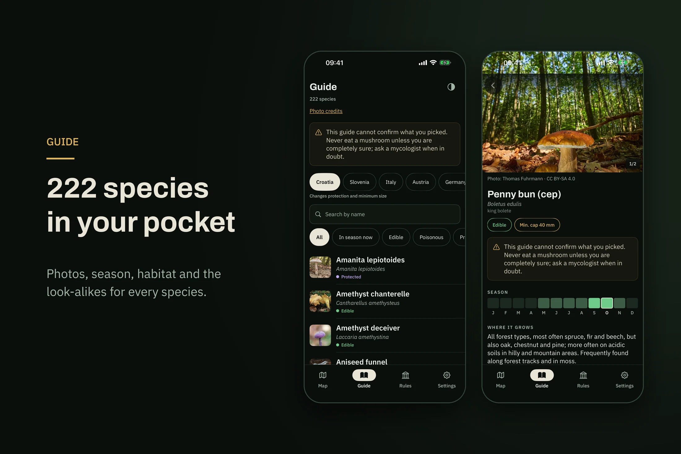 Gljivar — guide to 222 mushroom species and the porcini page