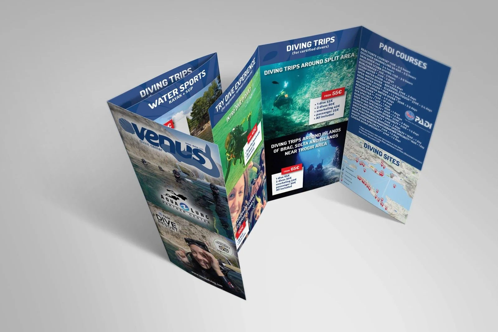 Venus Diving poster 2